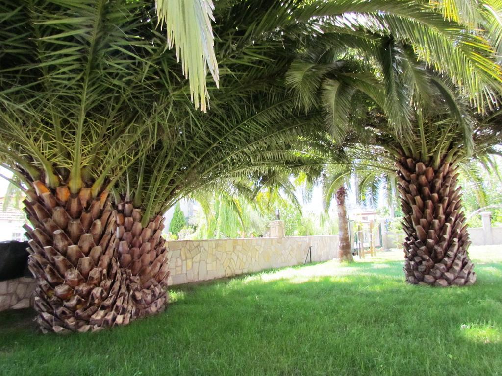 Dalyan Palmiye Resort Hotel Exterior foto