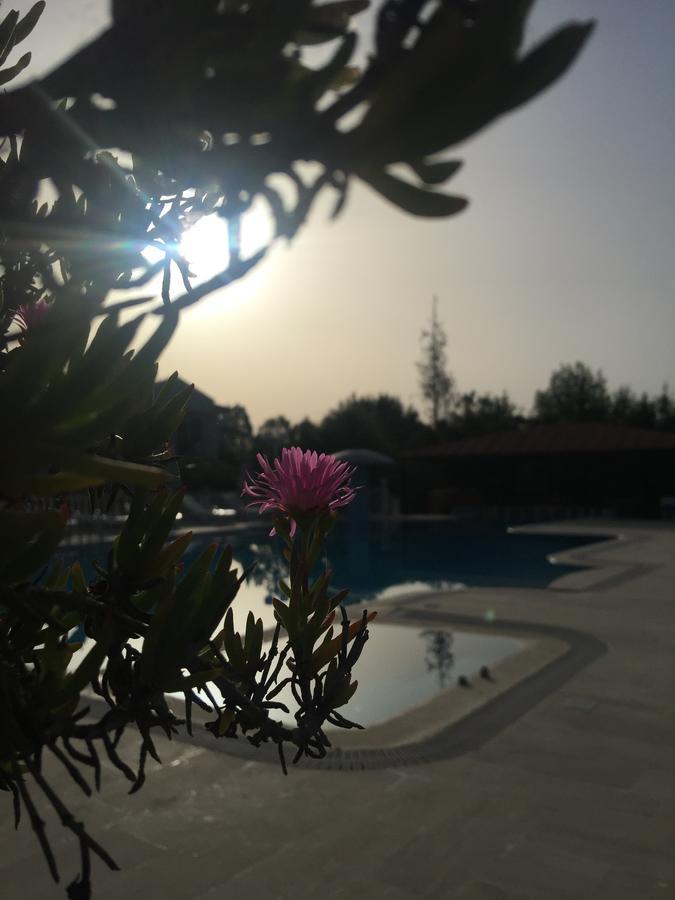 Dalyan Palmiye Resort Hotel Exterior foto